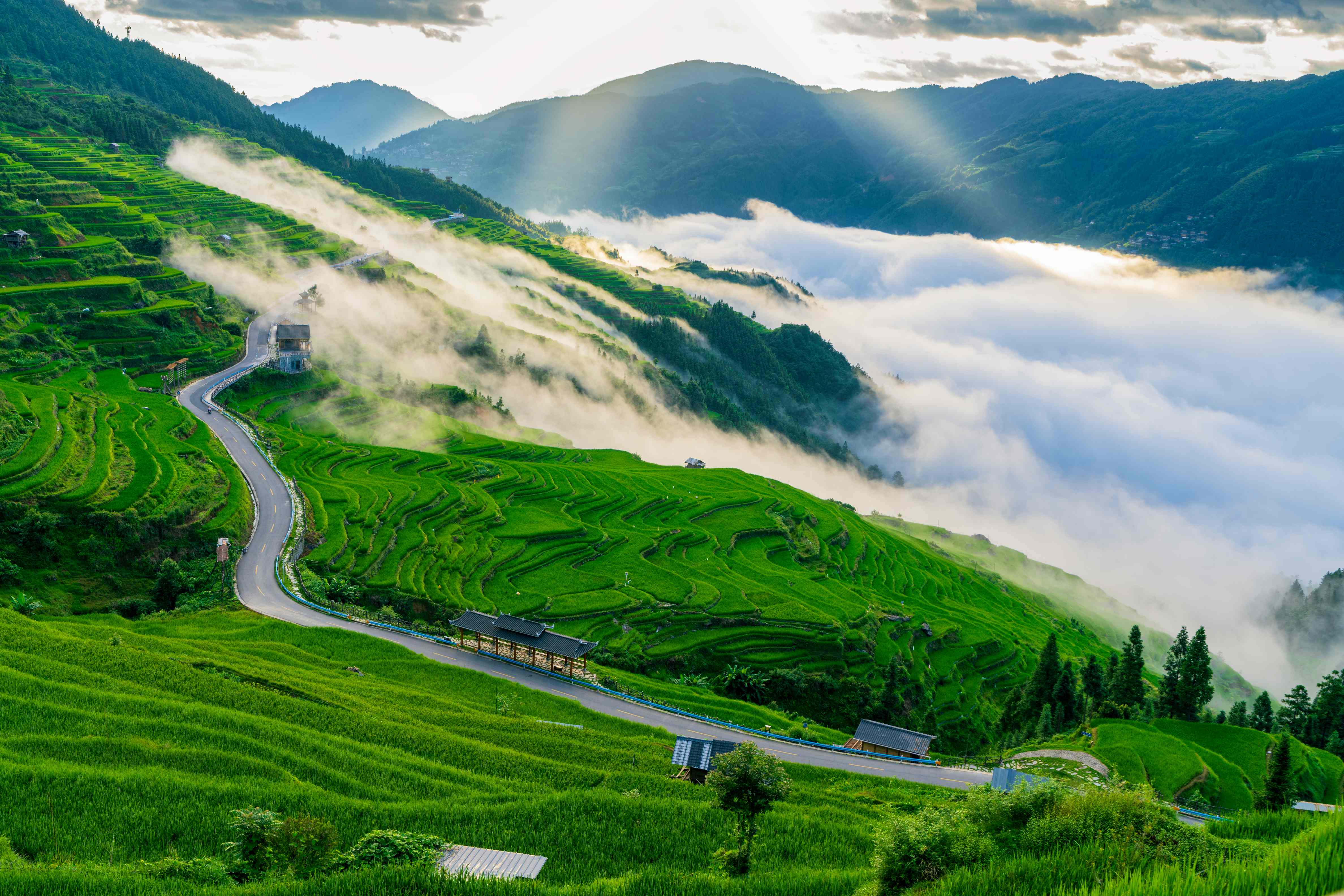 加榜梯田-2142193382185238543(1).jpeg